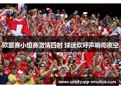 欧盟赛小组赛激情四射 球迷欢呼声响彻夜空