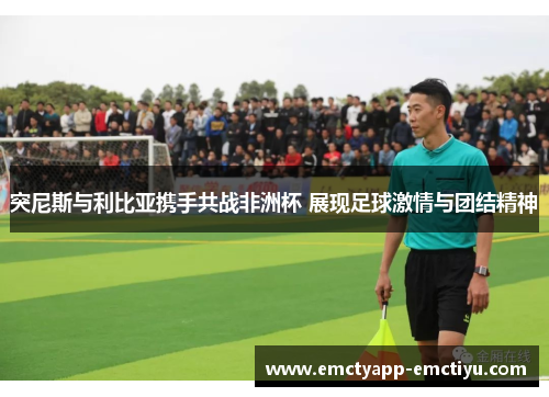 突尼斯与利比亚携手共战非洲杯 展现足球激情与团结精神