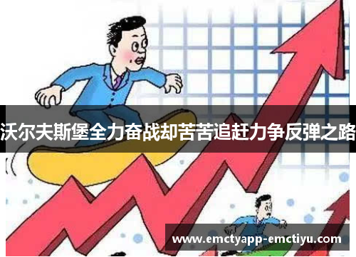 沃尔夫斯堡全力奋战却苦苦追赶力争反弹之路