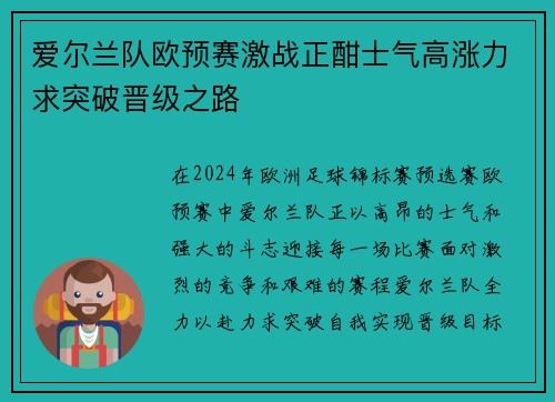 爱尔兰队欧预赛激战正酣士气高涨力求突破晋级之路