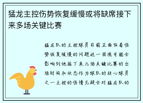 猛龙主控伤势恢复缓慢或将缺席接下来多场关键比赛