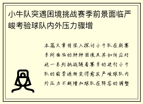 小牛队突遇困境挑战赛季前景面临严峻考验球队内外压力骤增