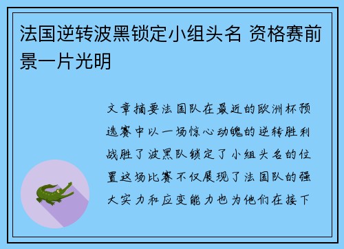 法国逆转波黑锁定小组头名 资格赛前景一片光明